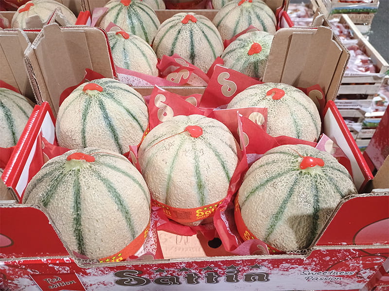 Melone retato - Italia - 3/3,50 euro al chilo